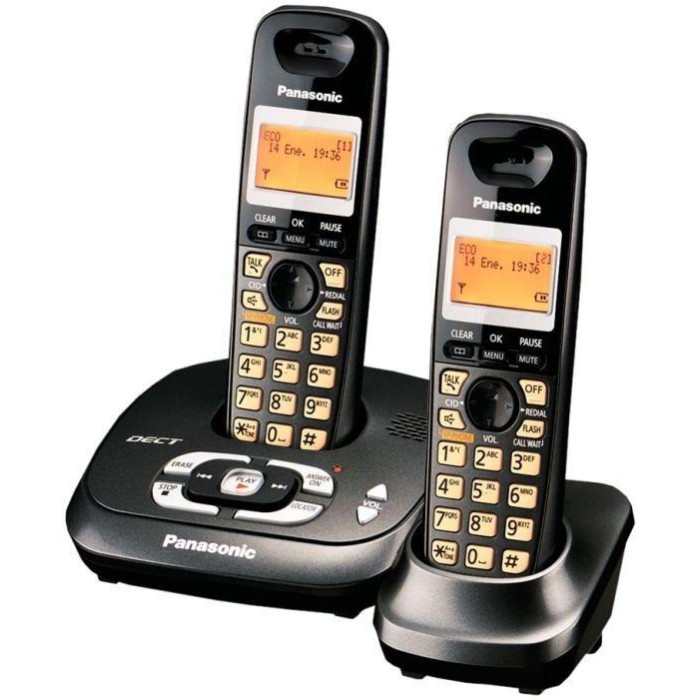Telefono Inalambrico Panasonic Dect 6.0 Kx-tg4072 2 Auriculares